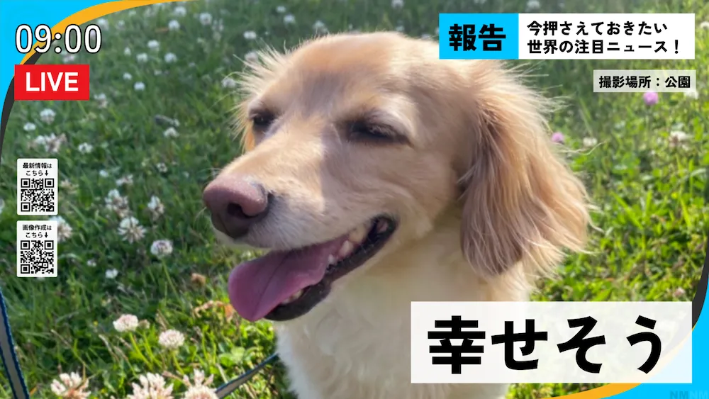 News画像サンプル