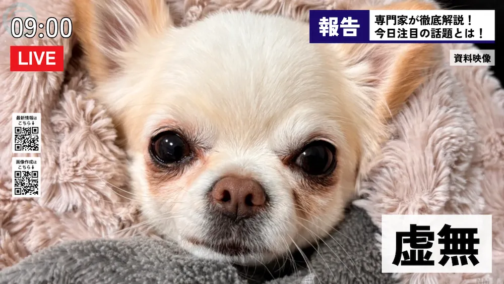 News画像サンプル